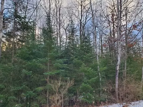 0 Sage Lk, Lupton, MI 48635 photo 3