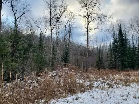 0 Sage Lk, Lupton, MI 48635 photo 6
