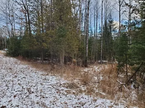 0 Sage Lk, Lupton, MI 48635 photo 7