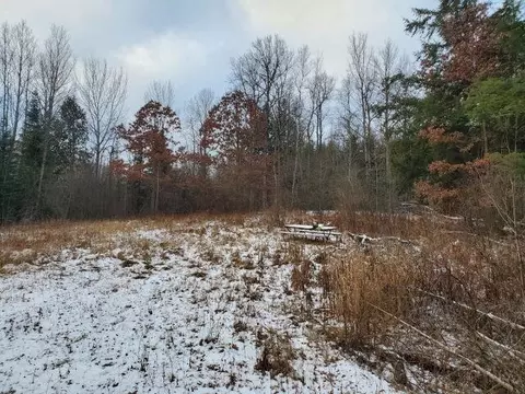 0 Sage Lk, Lupton, MI 48635 photo 5