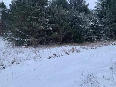 000 N Dickerson, Lake City, MI 49651