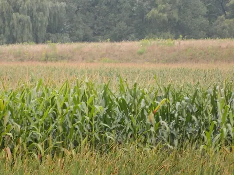 tbd S Coldwater, Blanchard, MI 49310