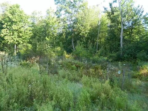 tbd S Coldwater, Blanchard, MI 49310 photo 6