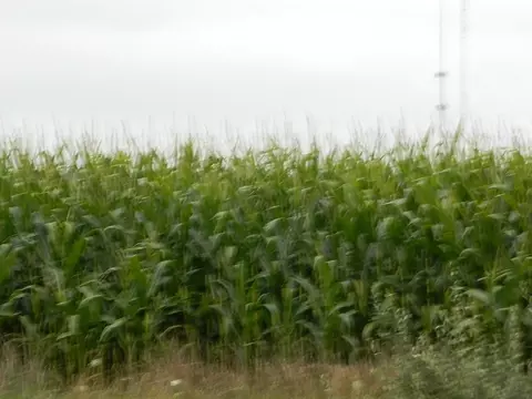 tbd S Coldwater, Blanchard, MI 49310 photo 8