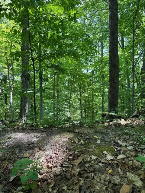 716 NW Torch Lk, Kewadin, MI 49648