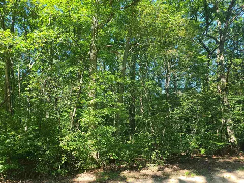 0009 Elizabeth, Fife Lake, MI 49633