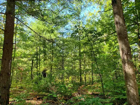 00 Beroun, Interlochen, MI 49643 photo 2