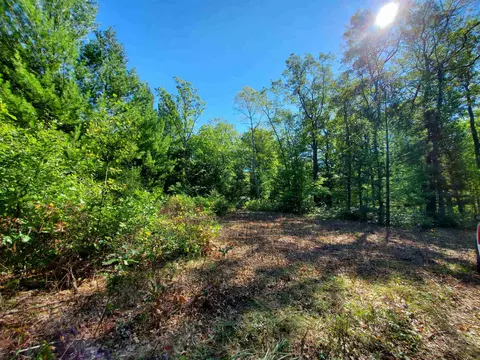 00 Beroun, Interlochen, MI 49643