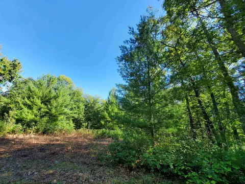 00 Beroun, Interlochen, MI 49643 photo 4