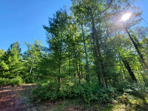 00 Beroun, Interlochen, MI 49643 photo 3
