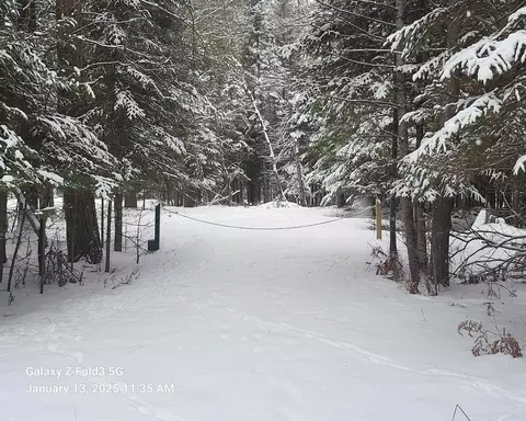 Evelyn, Grayling, MI 49738
