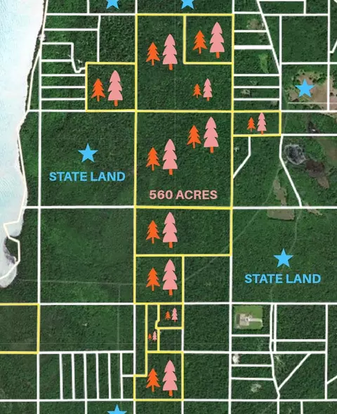 tbd Beaver Is #SOUTH WEST BEAVER, Beaver Island, MI 49782
