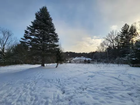Exterior - 3529 E 16, Manton, MI 49663 photo 8 of 10