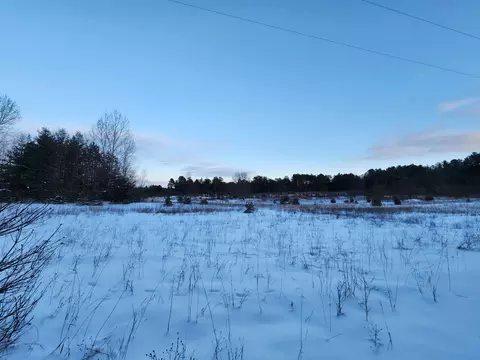 Other - 3529 E 16, Manton, MI 49663 photo 12 of 20