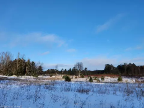 Other - 3529 E 16, Manton, MI 49663 photo 9 of 20