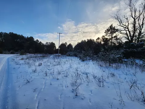 Other - 3529 E 16, Manton, MI 49663 photo 8 of 20