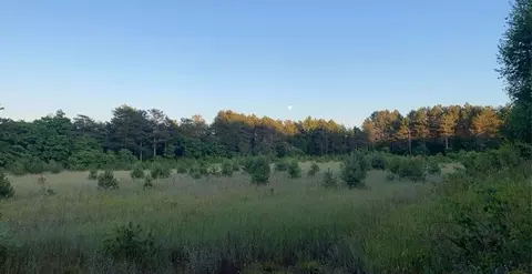 Other - 3529 E 16, Manton, MI 49663 photo 15 of 20