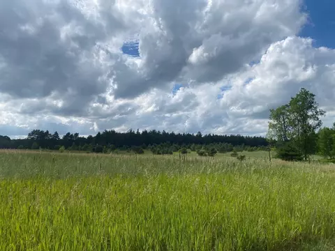 E 40, Cadillac, MI 49601