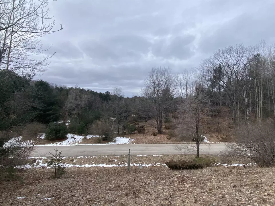  lot33 Scenic Hls #LOT : 33, Williamsburg, MI 49690 photo 4