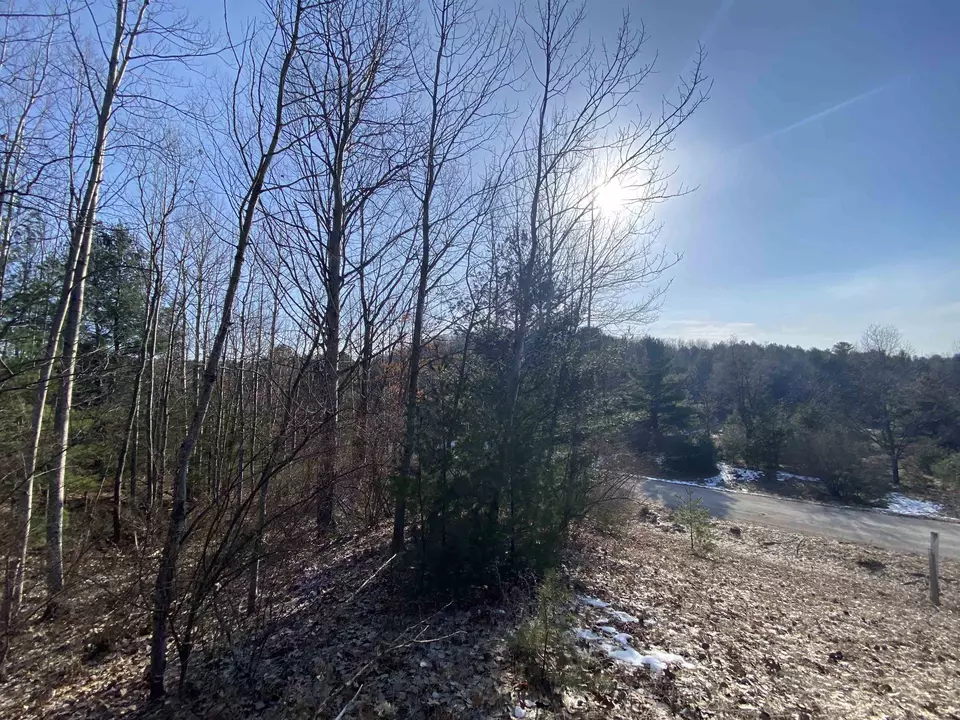  lot33 Scenic Hls #LOT : 33, Williamsburg, MI 49690 photo 5