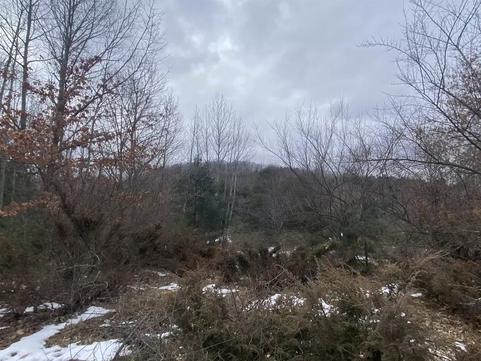  lot33 Scenic Hls #LOT : 33, Williamsburg, MI 49690 photo 2