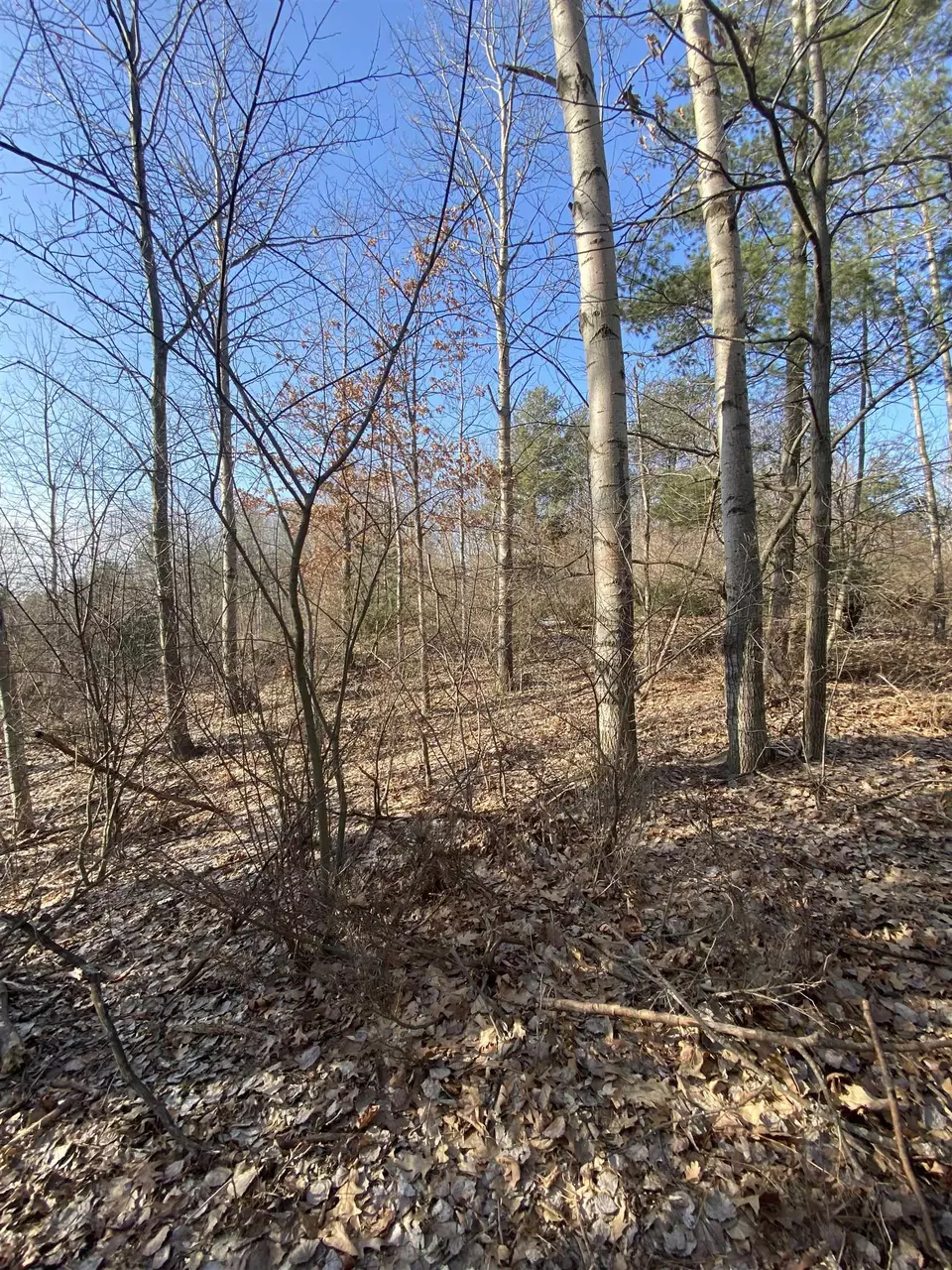  lot33 Scenic Hls #LOT : 33, Williamsburg, MI 49690 photo 9