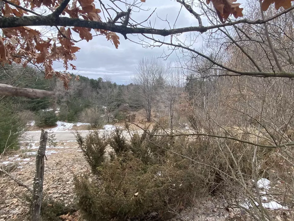  lot33 Scenic Hls #LOT : 33, Williamsburg, MI 49690 photo 3