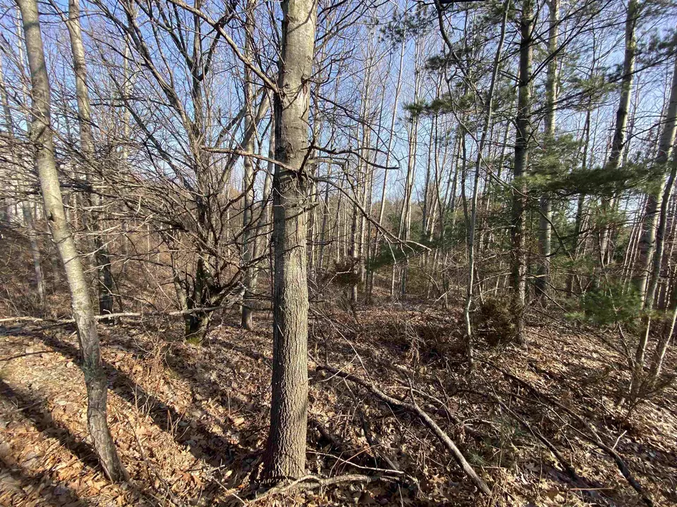  lot33 Scenic Hls #LOT : 33, Williamsburg, MI 49690 photo 13