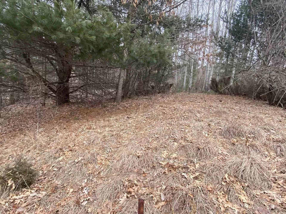  lot33 Scenic Hls #LOT : 33, Williamsburg, MI 49690 photo 11