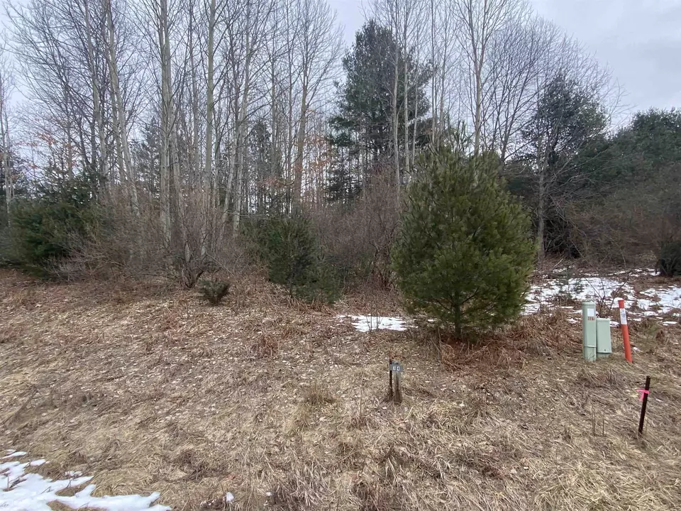  lot33 Scenic Hls #LOT : 33, Williamsburg, MI 49690 photo 6