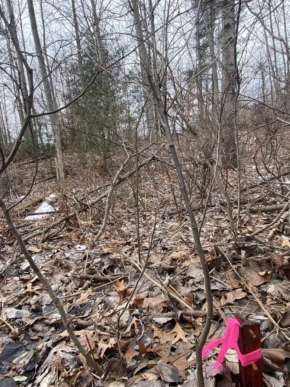  lot33 Scenic Hls #LOT : 33, Williamsburg, MI 49690 photo 10