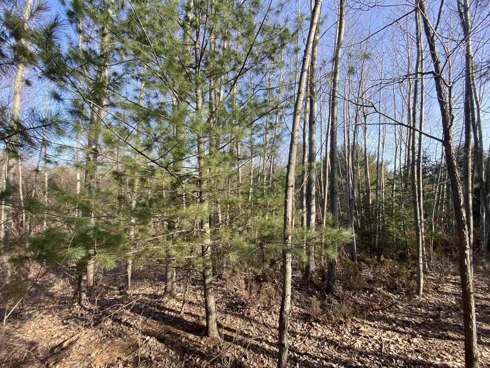  lot33 Scenic Hls #LOT : 33, Williamsburg, MI 49690 photo 8