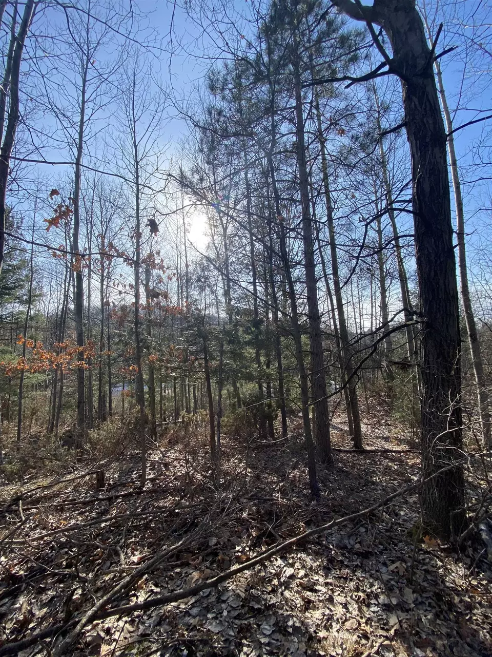  lot33 Scenic Hls #LOT : 33, Williamsburg, MI 49690 photo 12