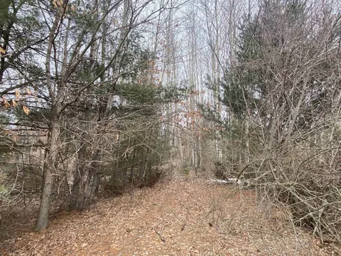 lot33 Scenic Hls #LOT : 33, Williamsburg, MI 49690