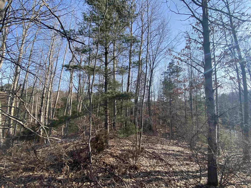  lot33 Scenic Hls #LOT : 33, Williamsburg, MI 49690 photo 14