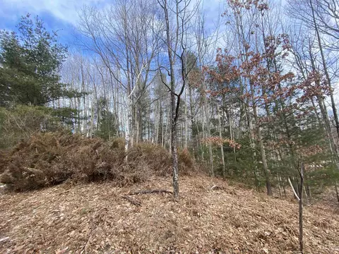 lot31 Scenic Hls, Williamsburg, MI 49690
