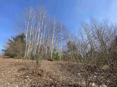 lot34 Scenic Hls #LOT : 34, Williamsburg, MI 49690