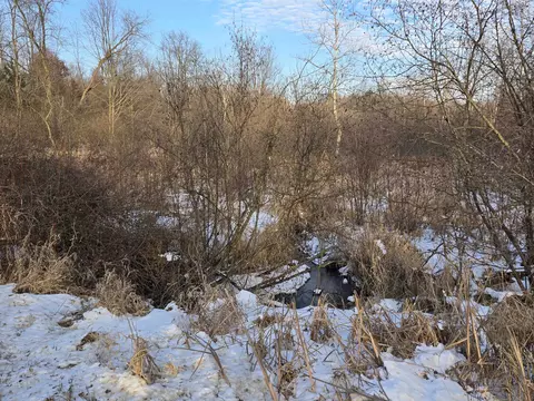 tbd Carlson, Sidney, MI 48885 photo 32