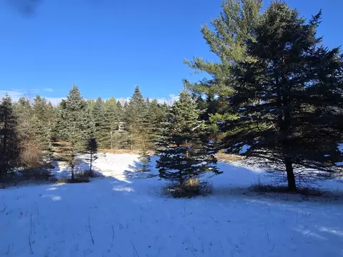 tbd Carlson, Sidney, MI 48885 photo 31