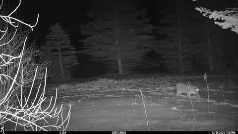 tbd Carlson, Sidney, MI 48885 photo 17