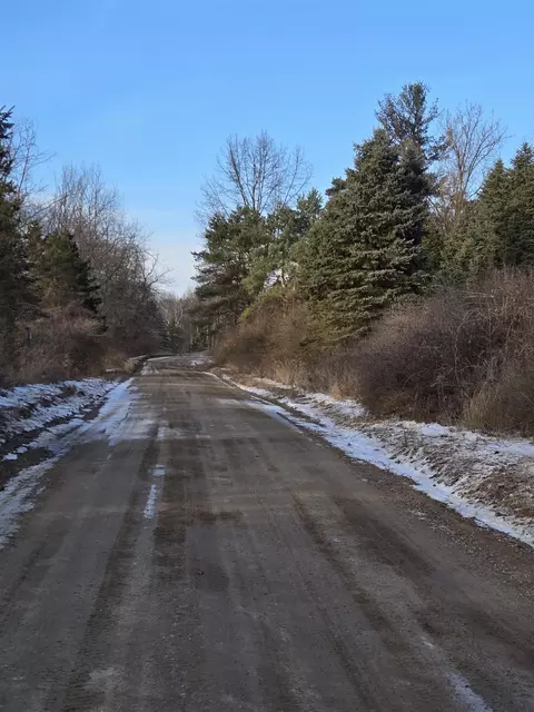 tbd Carlson, Sidney, MI 48885 photo 11