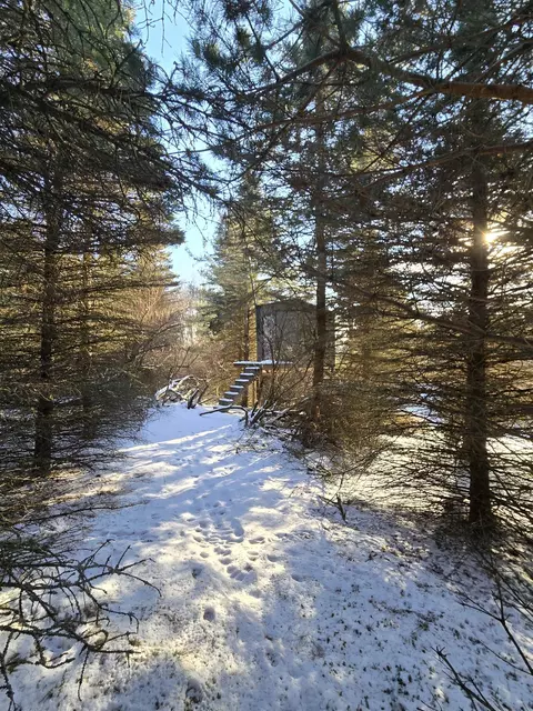 tbd Carlson, Sidney, MI 48885 photo 6