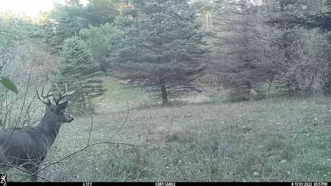 tbd Carlson, Sidney, MI 48885 photo 19