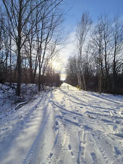 tbd Carlson, Sidney, MI 48885 photo 4