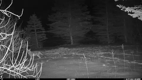 tbd Carlson, Sidney, MI 48885 photo 14