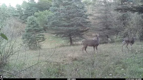 tbd Carlson, Sidney, MI 48885 photo 18