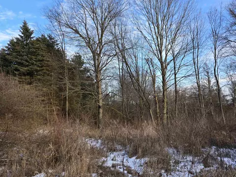 tbd Carlson, Sidney, MI 48885 photo 7