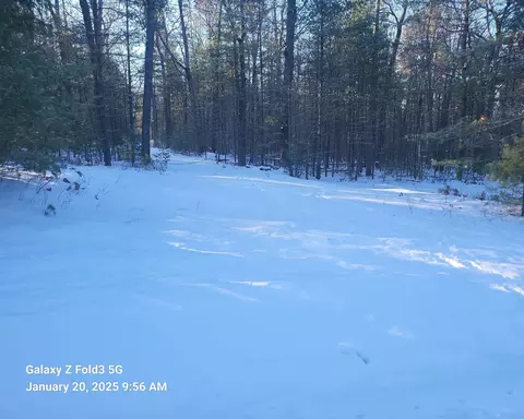 E Old 144, Roscommon, MI 48653
