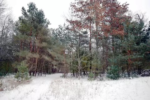 Other - 46 E Clarence, Harrison, MI 48625 photo 4 of 20