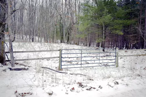 Exterior - 46 E Clarence, Harrison, MI 48625 photo 9 of 13